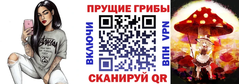 кракен ССЫЛКА  Новотроицк  Галлюциногенные грибы мухоморы 
